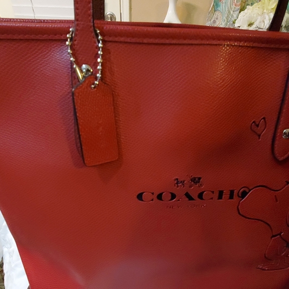 Coach Snoopy - Picture 6 of 8